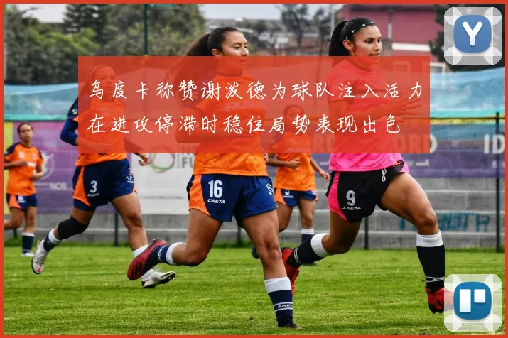 乌度卡称赞谢泼德为球队注入活力在进攻停滞时稳住局势表现出色