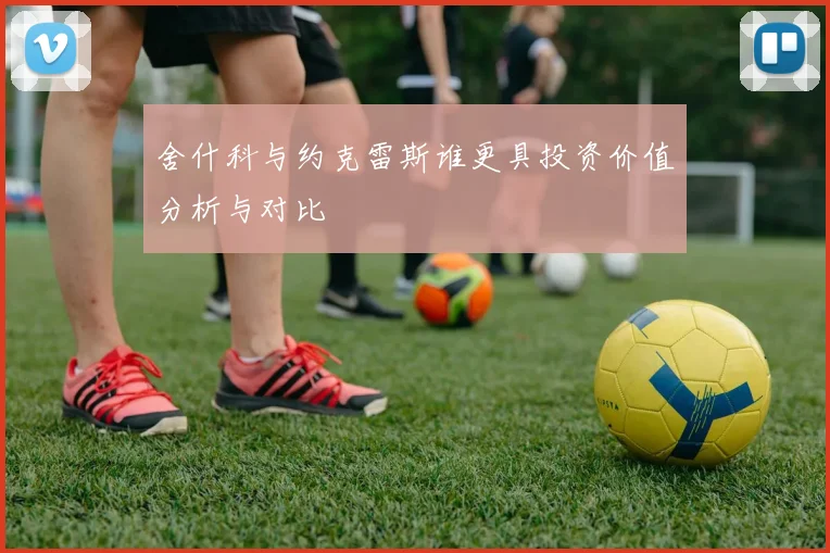 舍什科与约克雷斯谁更具投资价值分析与对比